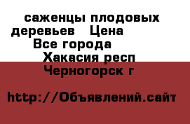 саженцы плодовых деревьев › Цена ­ 6 080 - Все города  »    . Хакасия респ.,Черногорск г.